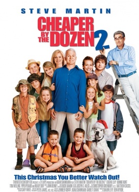 儿女一箩筐2Cheaper by the Dozen 2