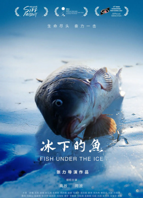 冰下的鱼Fish Under the Ice
