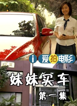 妹妹买车1