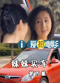 妹妹买车4