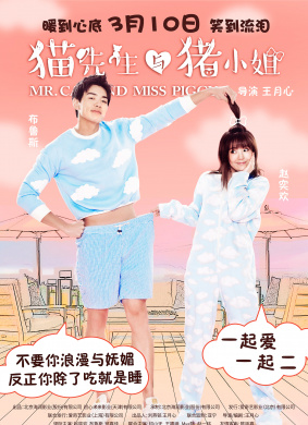 猫先生与猪小姐Mr Cat & Miss Piggy
