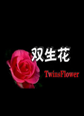 双生花Shuang Sheng Hua