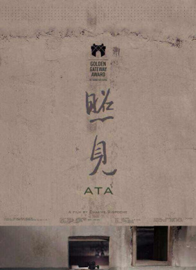 照见ATA