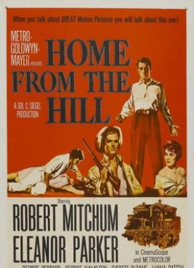 情乱萧山Home from the Hill