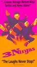 小鬼难缠又当家3 Ninjas
