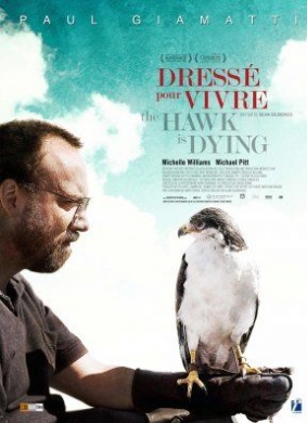 雄鹰垂危The Hawk Is Dying