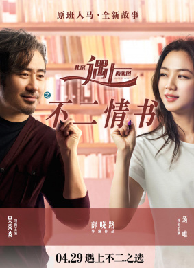 北京遇上西雅图之不二情书Finding Mr. Right 2