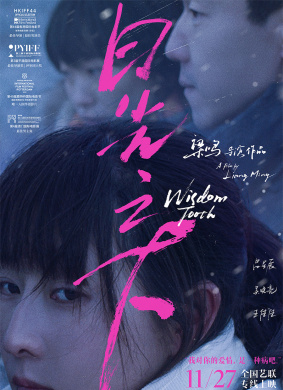 日光之下Wisdom Tooth