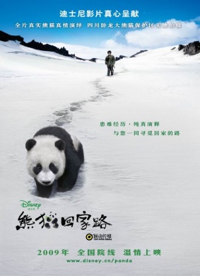 熊猫回家路Trail of the Panda