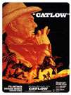 盗宝智多星Catlow