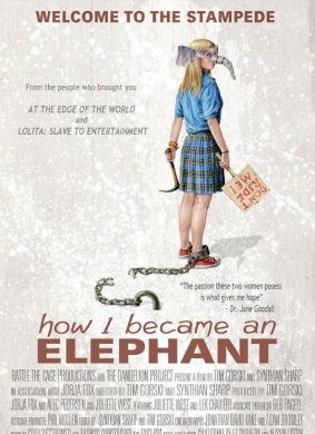 我如何成为一头大象How I Became an Elephant