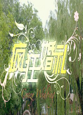 疯狂婚礼
