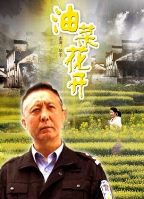 油菜花开
